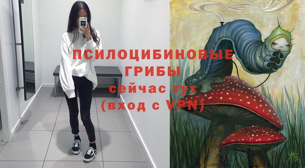 spice Белокуриха