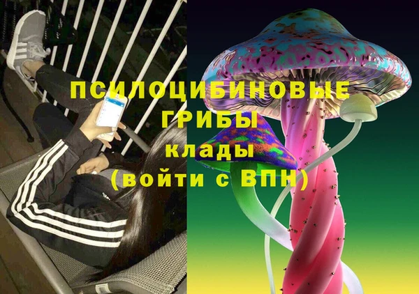 spice Беломорск