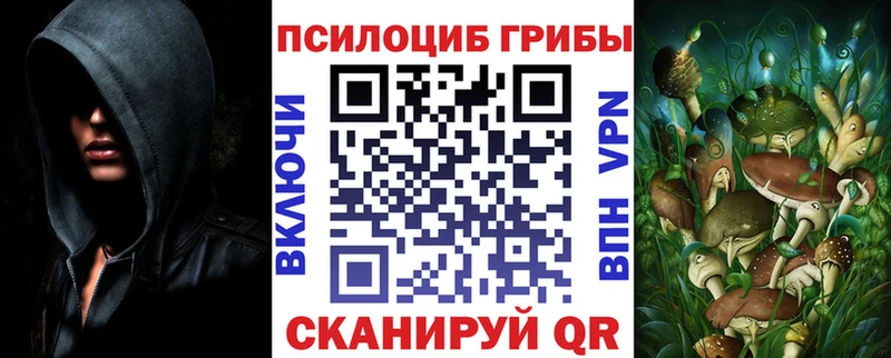 купить закладку  Киреевск  hydra как войти  Галлюциногенные грибы MAGIC MUSHROOMS 